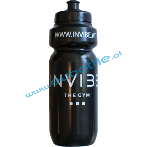 EU Bottle Classic 650ml black - Invibe